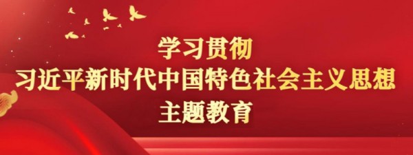 学习贯彻习近平新时代中国特色社会主义思想主题教育