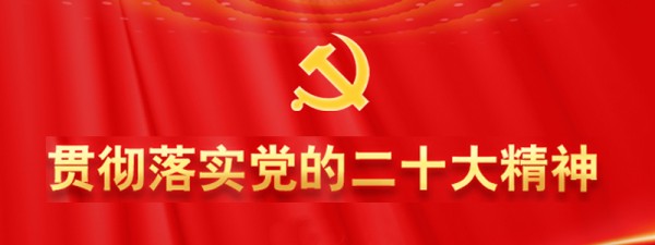 二十大时光