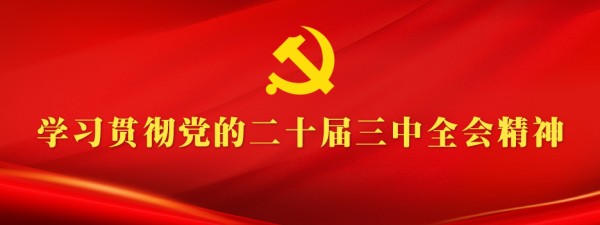 学习贯彻党的二十届三中全会精神