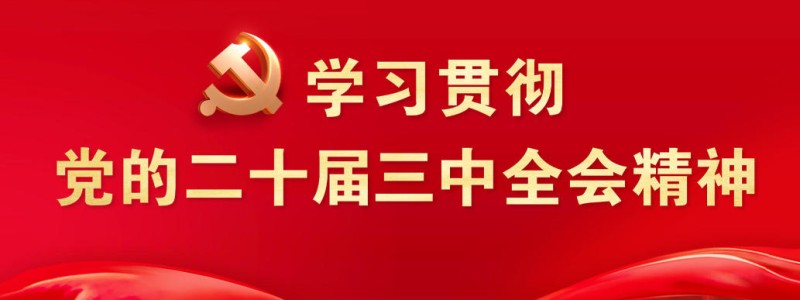学习贯彻党的二十届三中全会精神