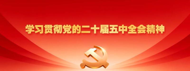 分类： <span>学习贯彻党的二十届五中全会精神</span>