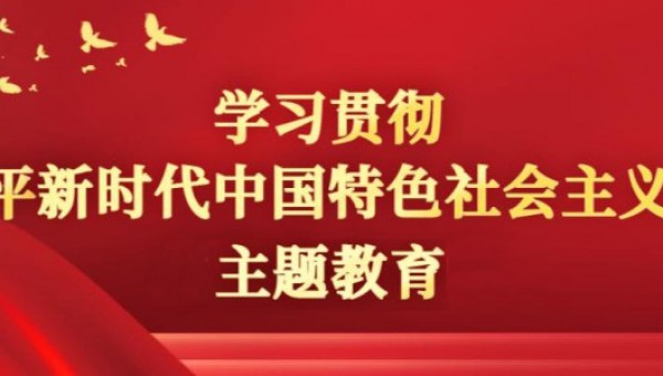 学习贯彻习近平新时代中国特色社会主义思想主题教育