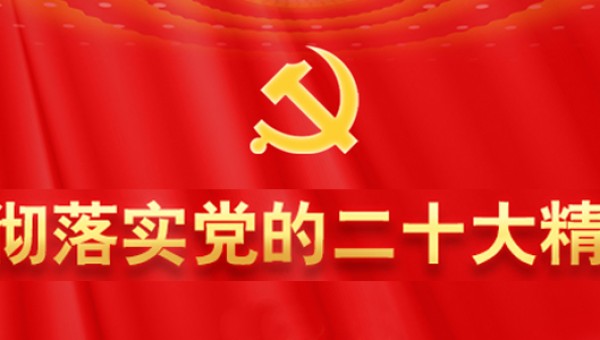 二十大时光