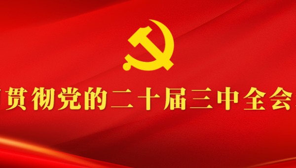 学习贯彻党的二十届三中全会精神