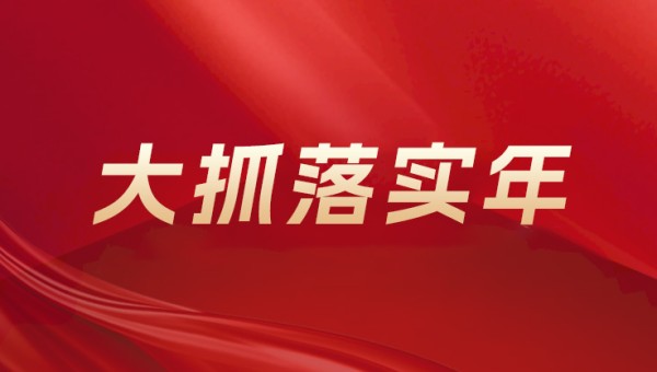 大抓落实年