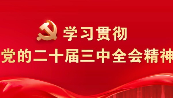 学习贯彻党的二十届三中全会精神